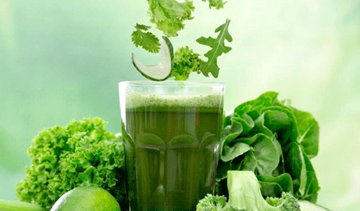 Diệp lục Chlorophyl
