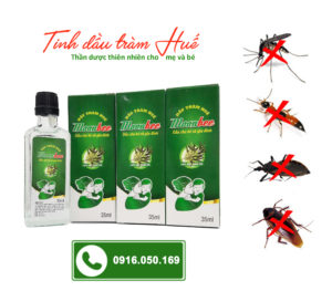 Dầu tràm Huế 35ml