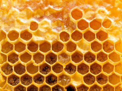 Keo ong: Tủ thuốc tự nhiên thu nhỏ